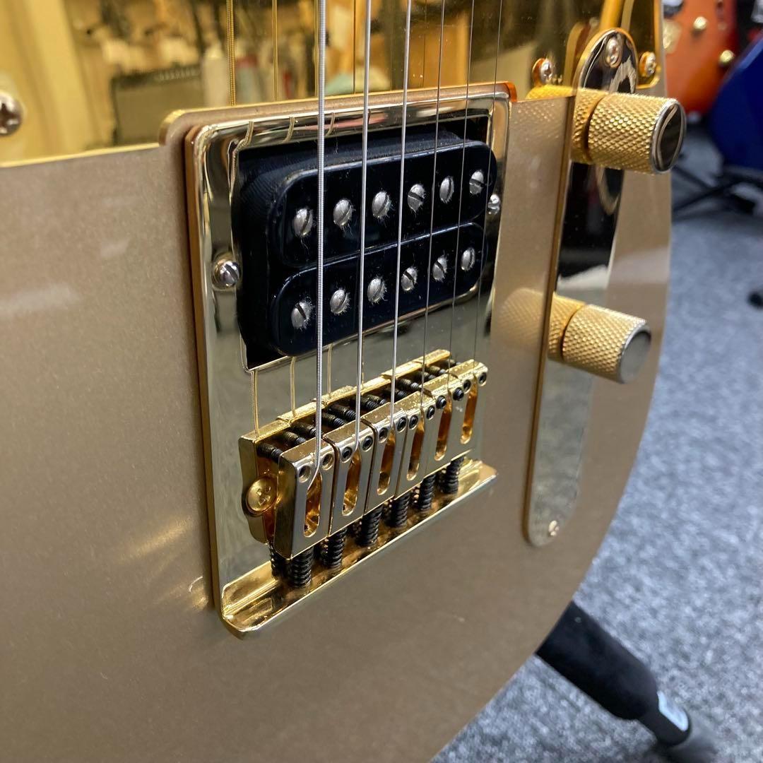 【9801】 True Temperament fretting system