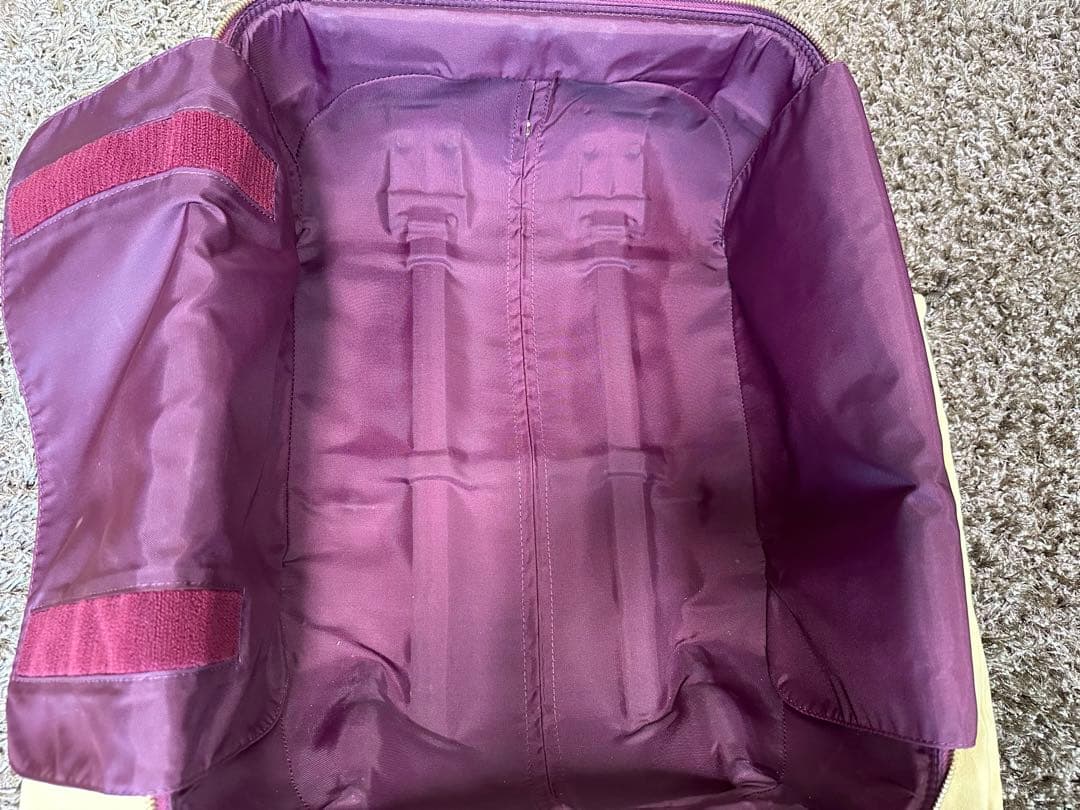 ルイヴィトン　キャリーバック(機内持込可)