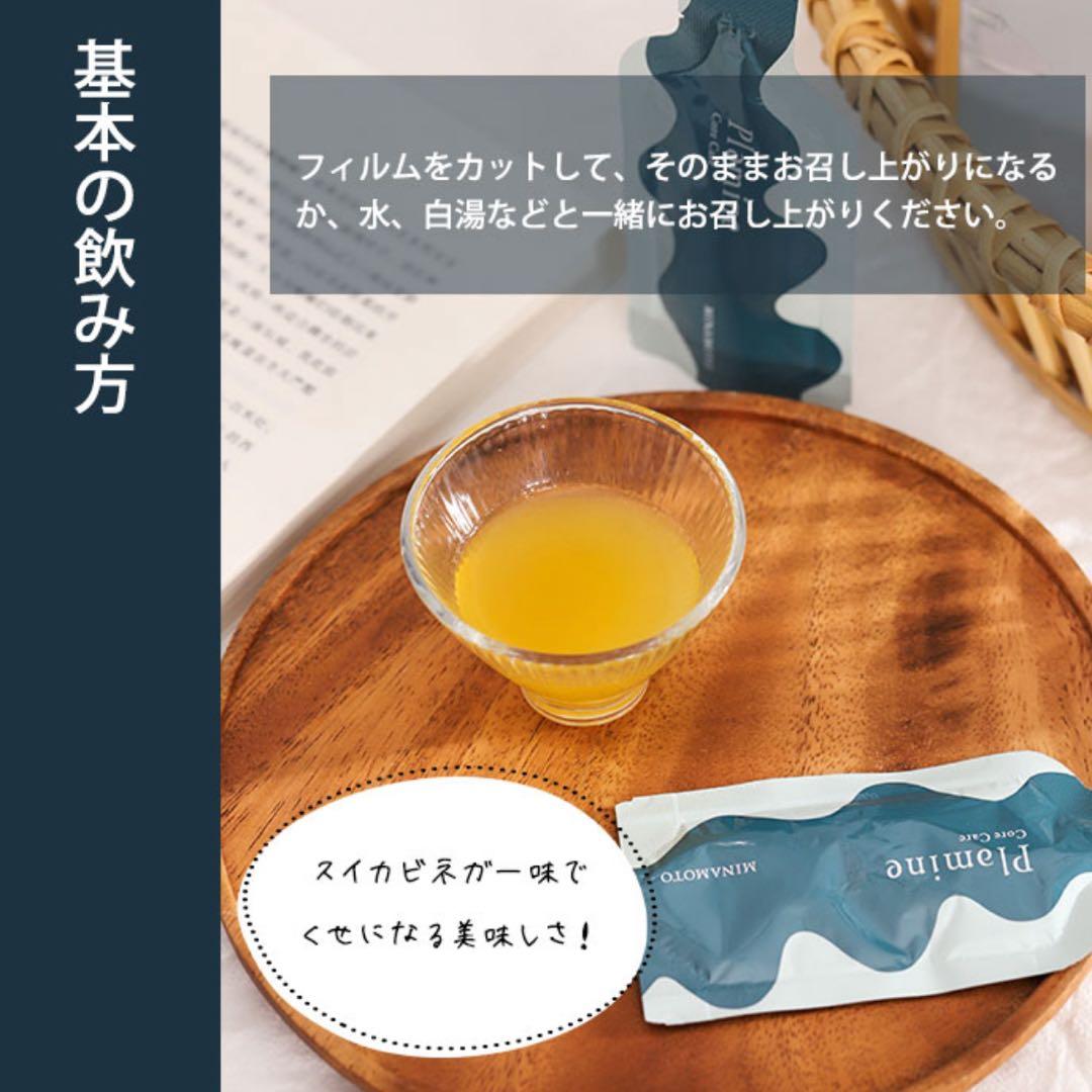 MINAMOTO Plomine Core Care 2箱プレゼント付