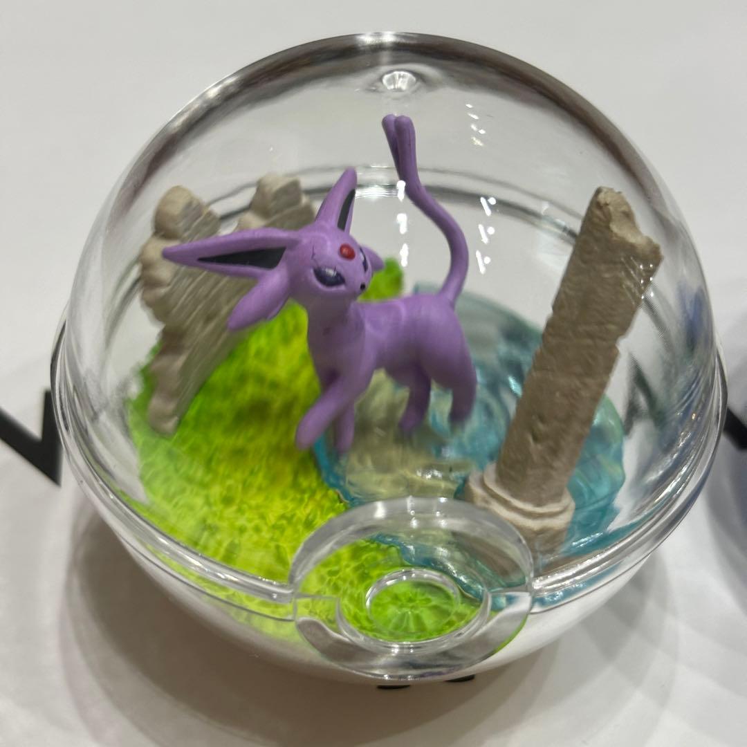 ポケモン テラリウム コレクション フィギュア リーメント ブラッキー
