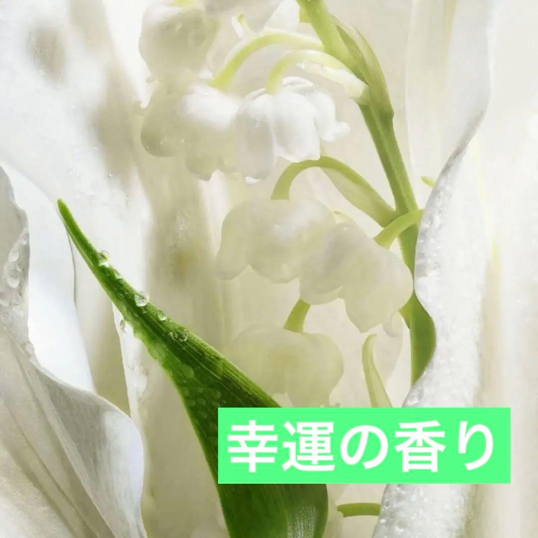 メゾンクリスチャンディオール　ラッキー　正規品　未開封新品　40ml