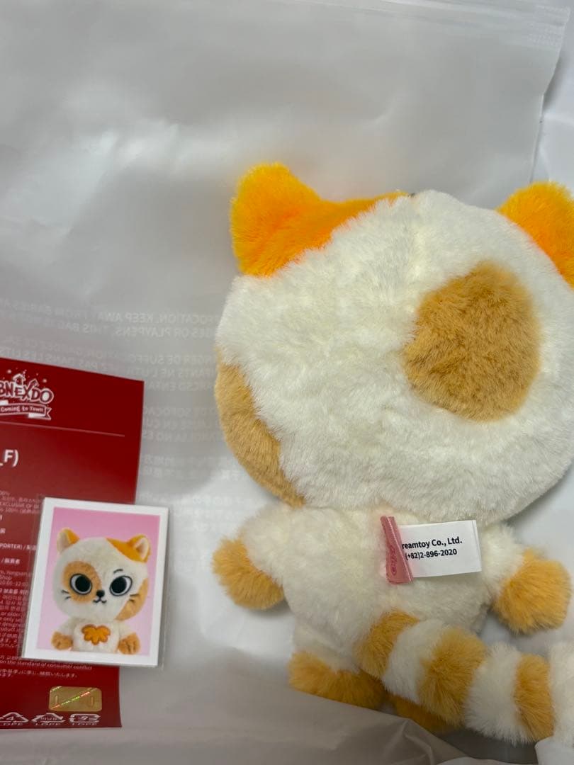 boynextdoor プネクド ボネクド ケッピ CATBBI キーリング - メルカリ