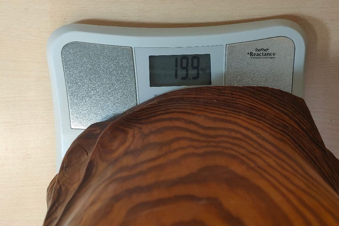 達磨大師 一刀彫 欅 楢 65cm