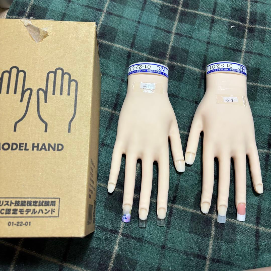 JNEC 認定モデルハンド STモデルハンド専用チップ、強力テープ