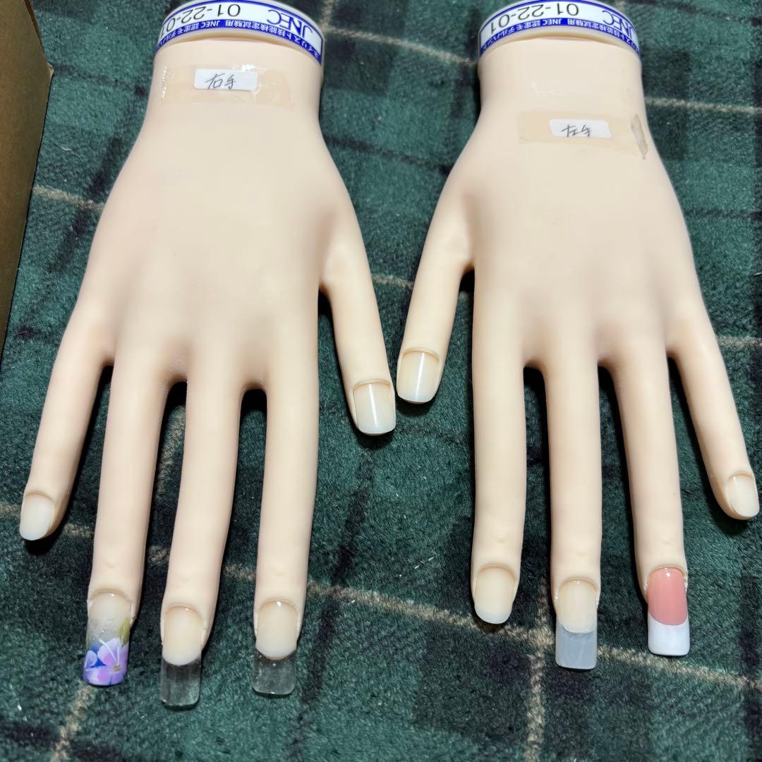 JNEC 認定モデルハンド STモデルハンド専用チップ、強力テープ