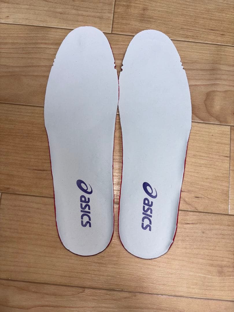 アシックス DS LIGHT アクロス プロ 3 24.5cm