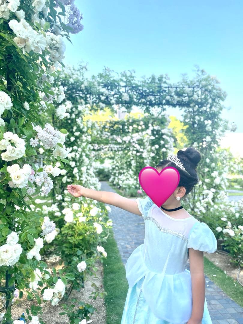 値下げ10000円→9000円☆シンデレラセット☆120キャサリンコテージ