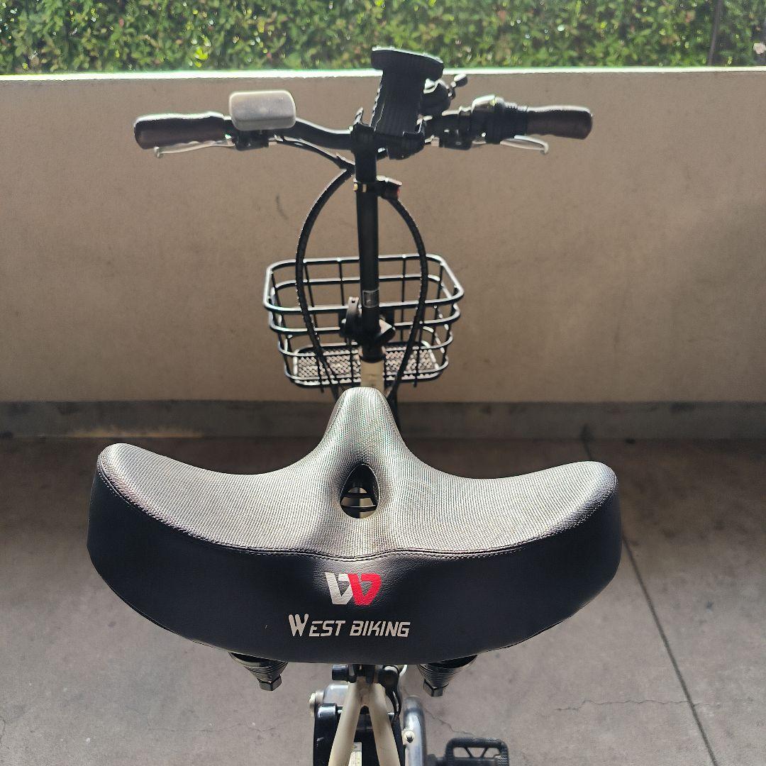 Peltech TDN-212L 電動自転車