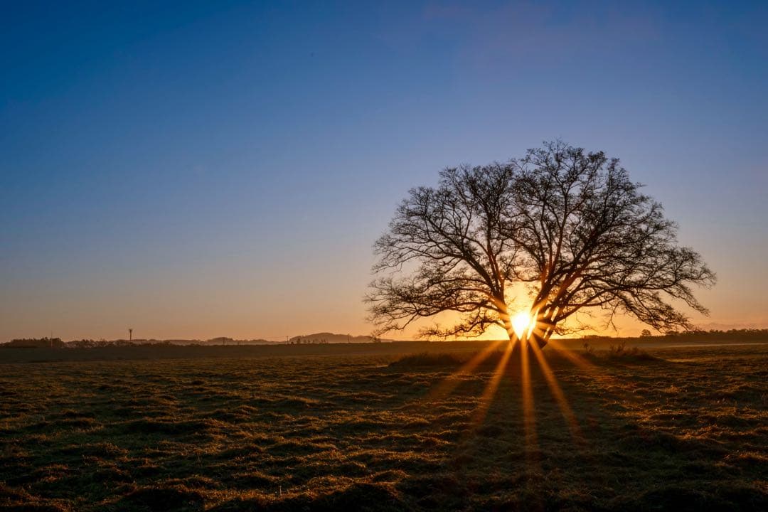 【箱付】NIKKOR Z 14-30mm f4 S 2万円分のNDフィルター付