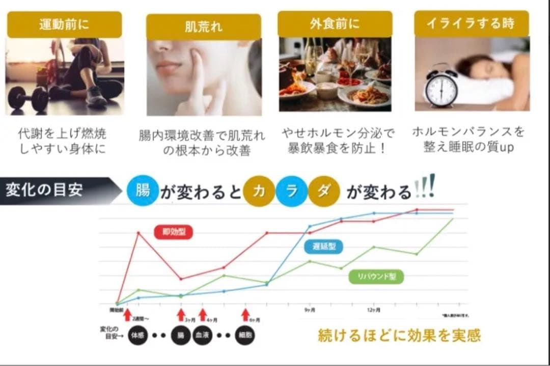 魔法のTANSA 409 ☆ベリー味 短鎖脂肪酸 腸活 乳酸菌★魔法のタンサ