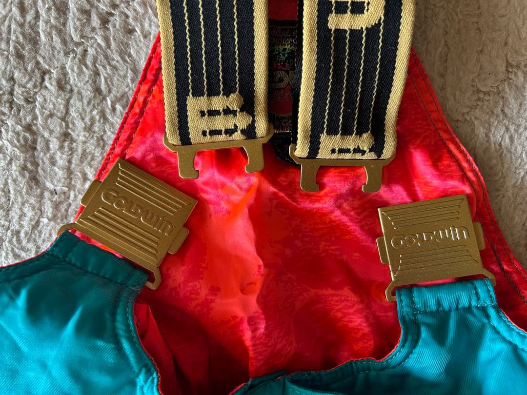 スキーウェア ゴールドウィン　上下セット　Lサイズ