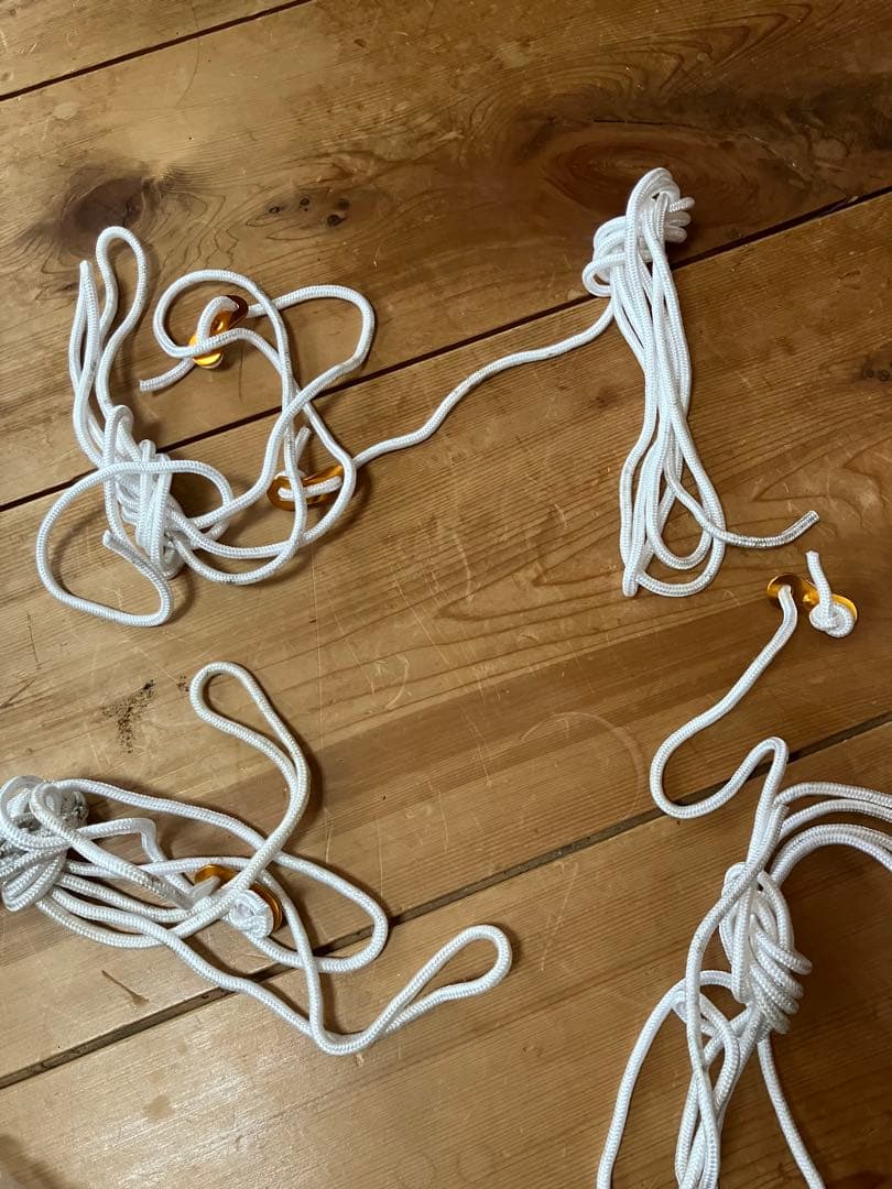 ogawa Vigas-II オガワ ヴィガス2