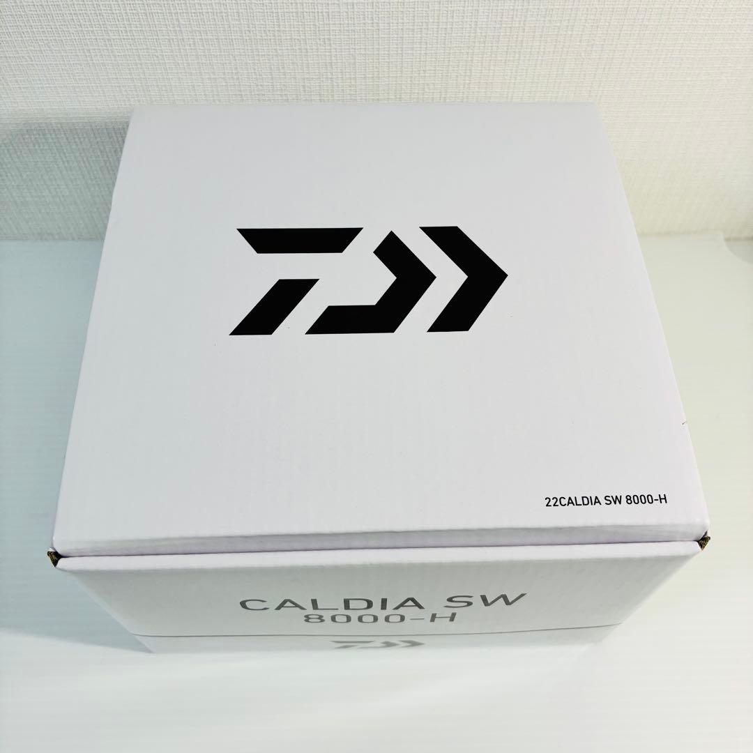 【美品！】DAIWA '22 カルディア SW 8000-H