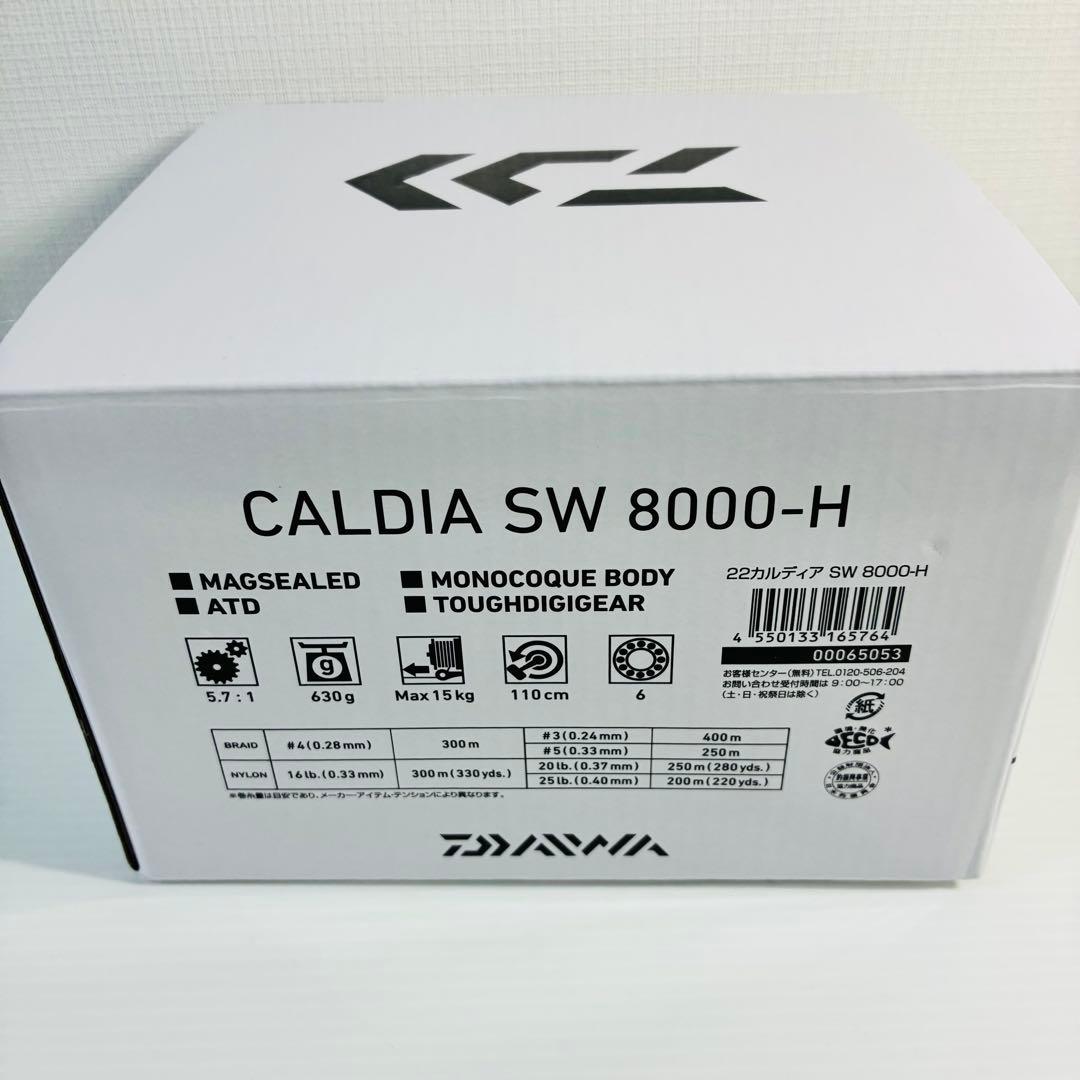 【美品！】DAIWA '22 カルディア SW 8000-H