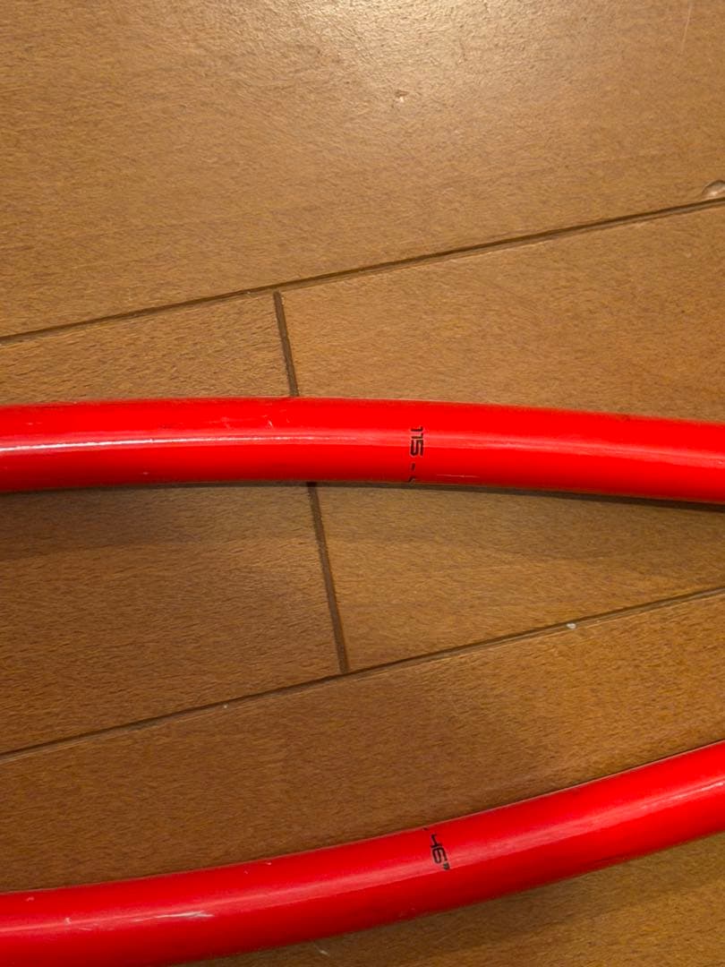 LEKI スキー用ストック 115cm 赤 WCR LITE GS 3D - メルカリ