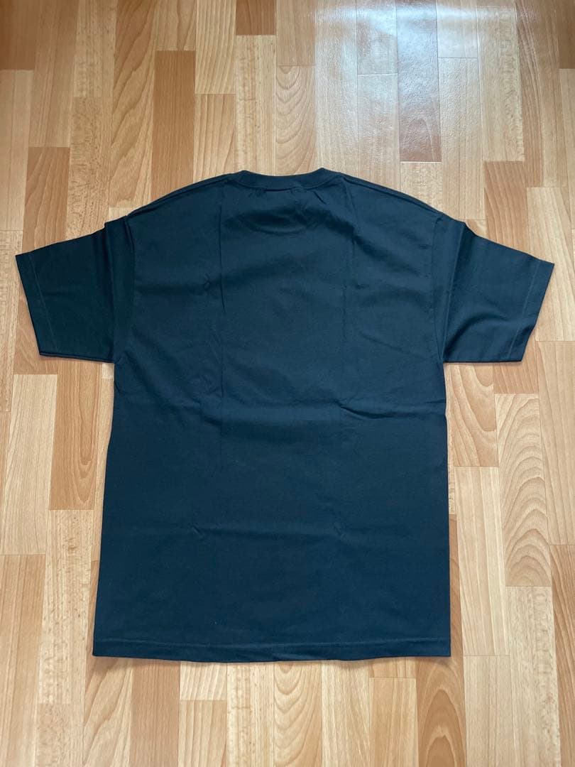 SKULL SKATES 未使用品 powell santa cruz alva