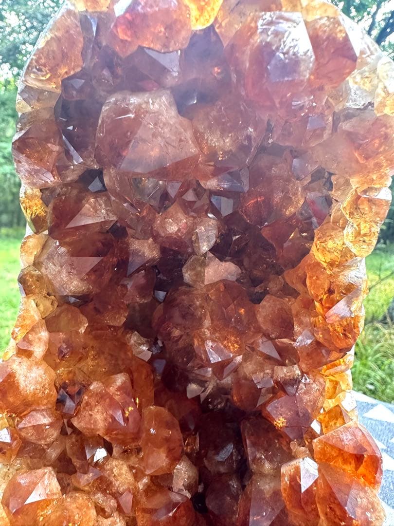 特価　シトリンクラスター　45