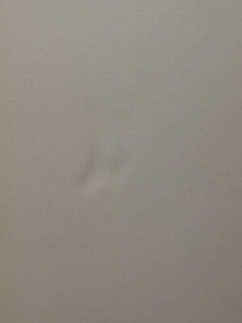 ALOHAサーフボード（フィン、リーシュ、ソフトケース付）