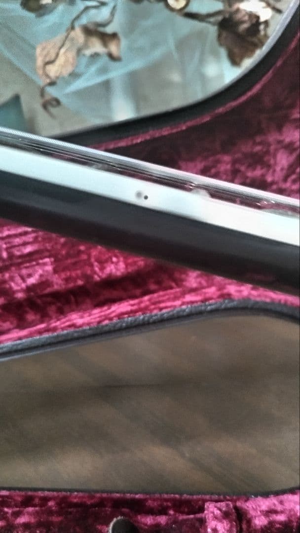 【MIYAVI世界デビュー時のT5改良品】Taylor T5z　ハードケース付