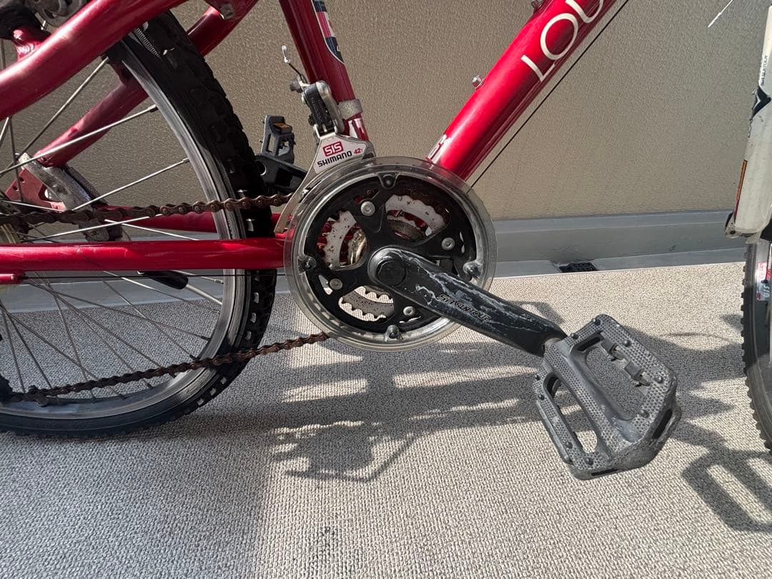 ルイガノ LOUIS GARNEAU LGS-J24 ジュニア自転車