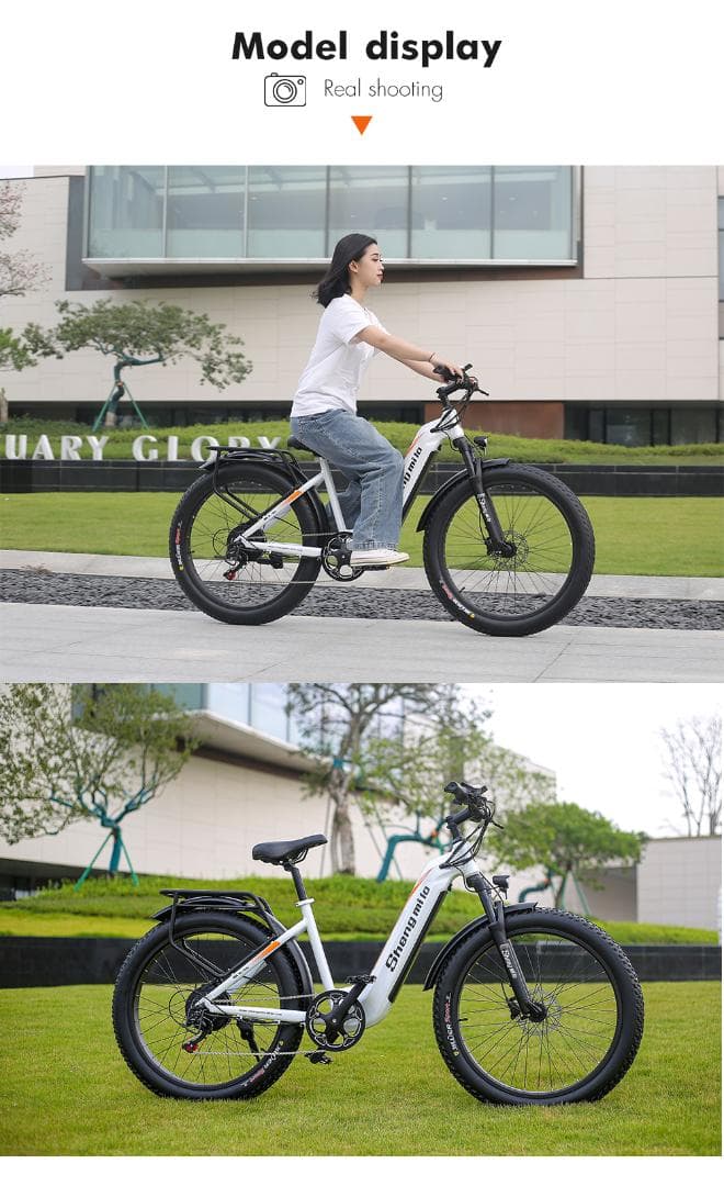 たくみさん専用　電動アシスト自転車 アクセル付き MTB　26インチ 7段変速