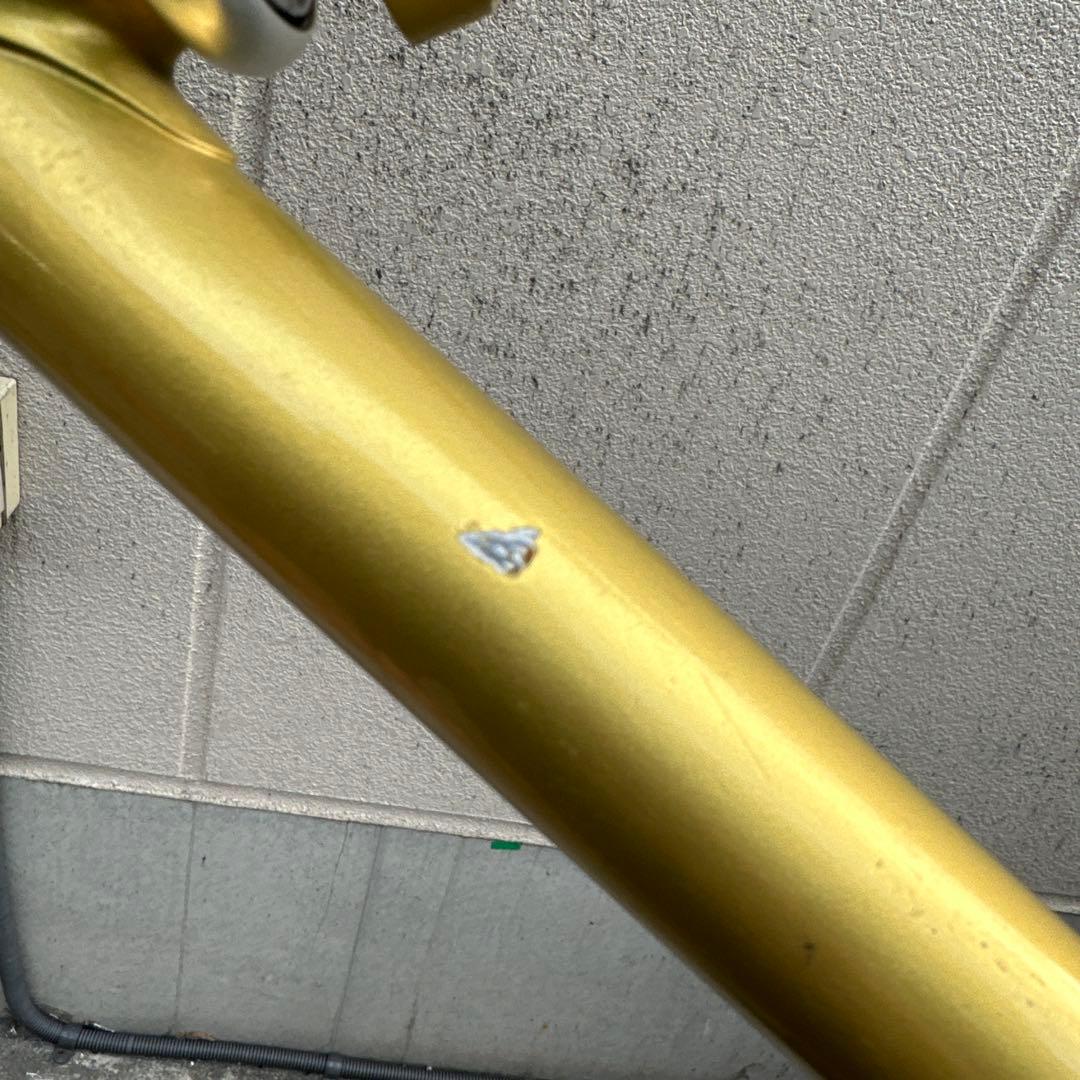 Ganwell njsフレーム ゴールド クリスマスセール中！