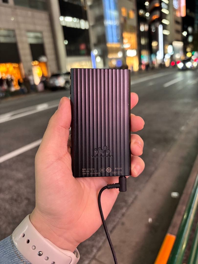 SONY Walkman NW-A306 （32GB）