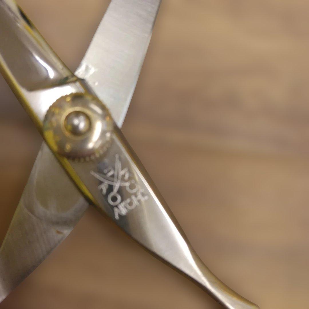 アコス⭐シザー⭐ミニシザー⭐はさみ⭐AKOHS⭐コバルト⭐ロイヤル⭐570