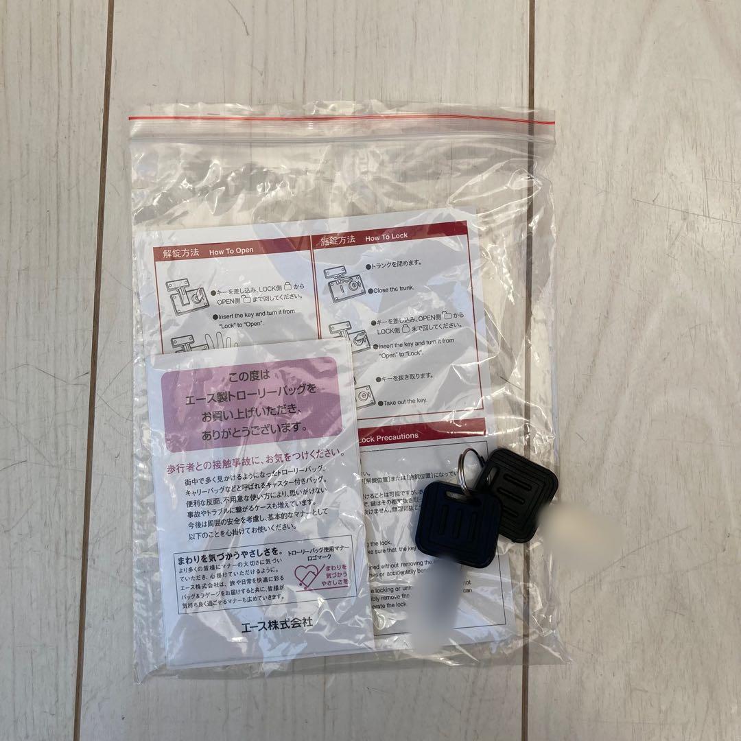 新品　ケイタマルヤマ×プログレ スーツケース トランクケース Mサイズ ACE