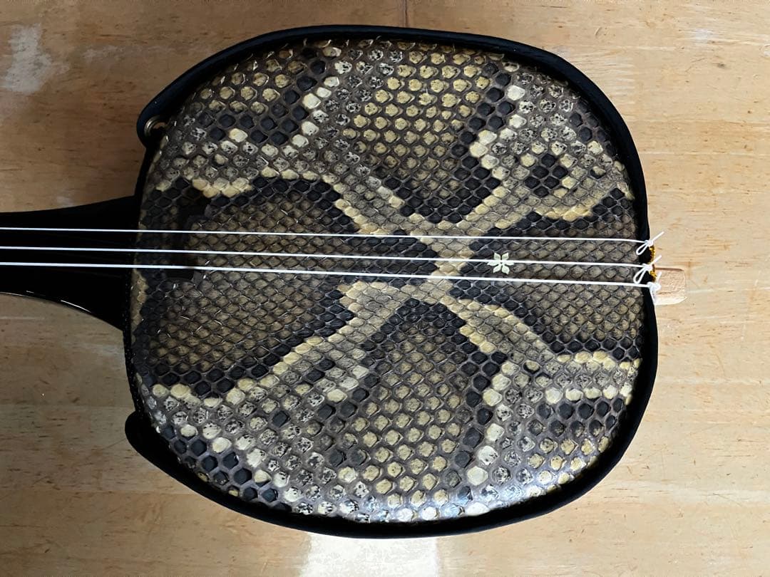 ASOVIVA 三線　独学マスター13点セット　本革