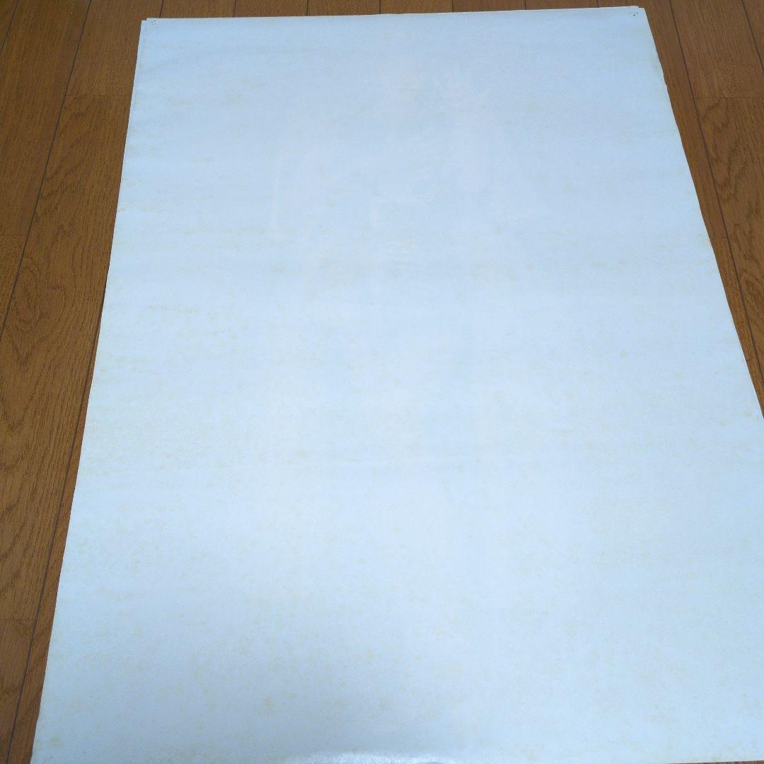 森高千里　レアポスター２枚セット