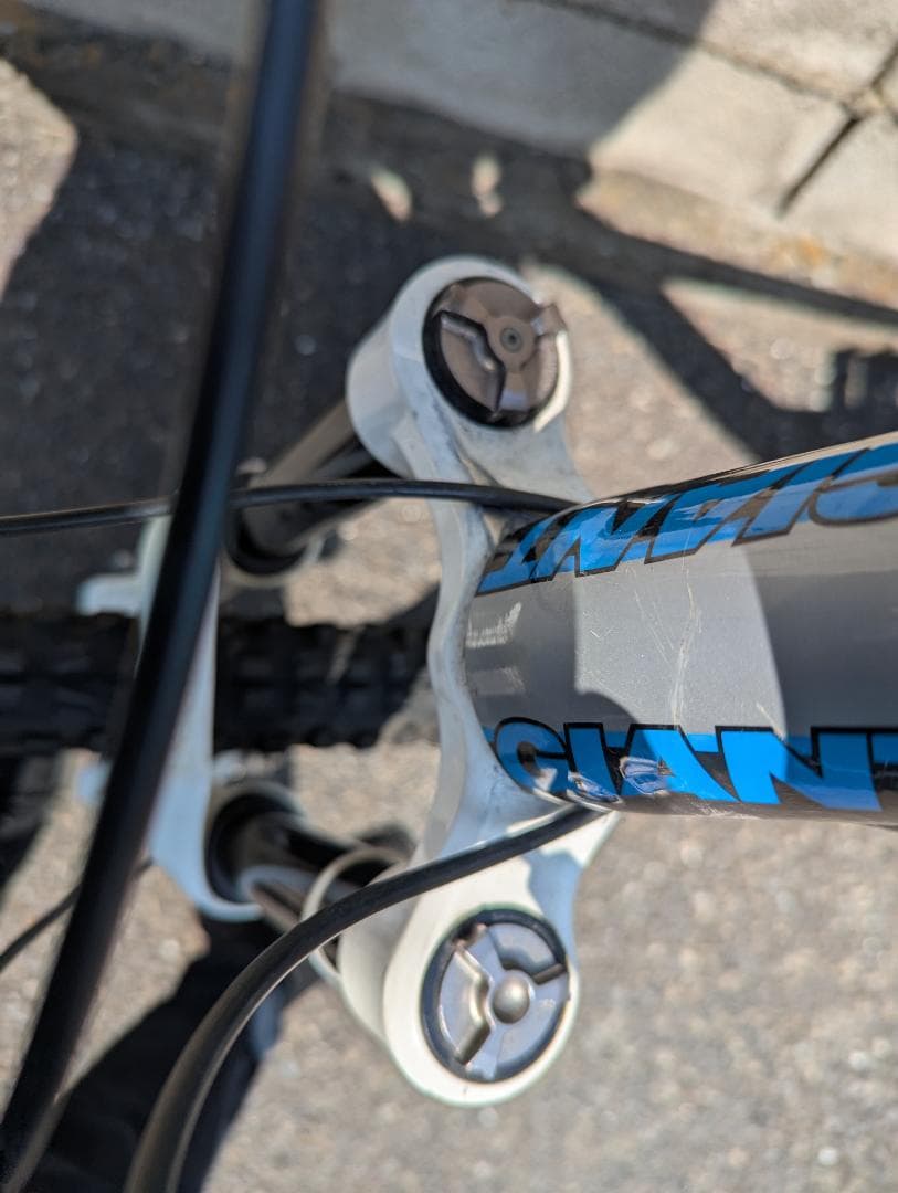 専用出品 改造多数 グローリー フリーライド仕様 Lサイズ※ジャンク扱いで