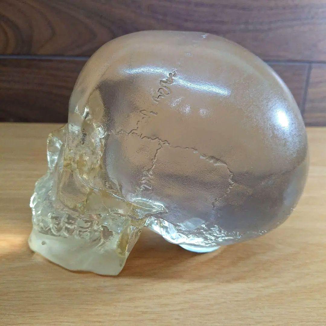 スカル オブジェ 骸骨 置物 透明