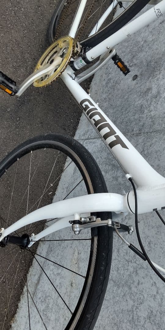 ジャイアントエスケープR3　Mサイズ(愛知県)