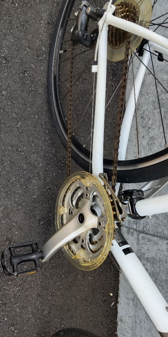 ジャイアントエスケープR3　Mサイズ(愛知県)