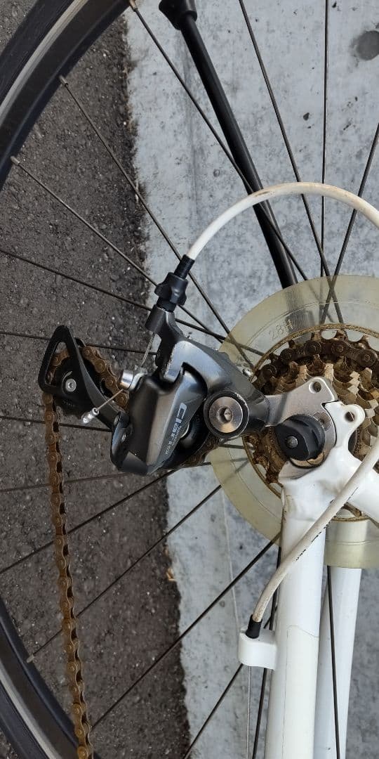 ジャイアントエスケープR3　Mサイズ(愛知県)