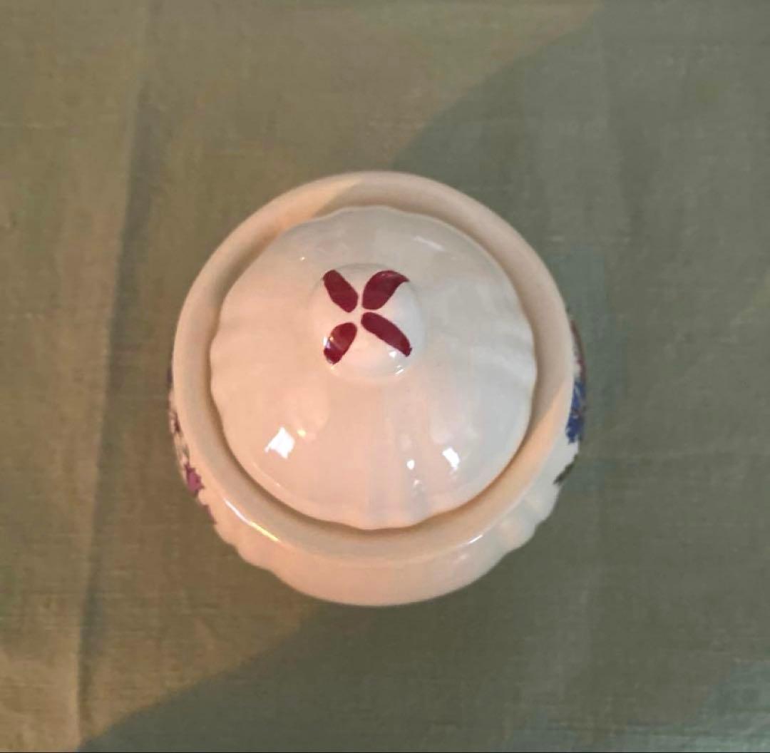 【めぐページ】サルグミンヌ　アグレスト　花リム セット