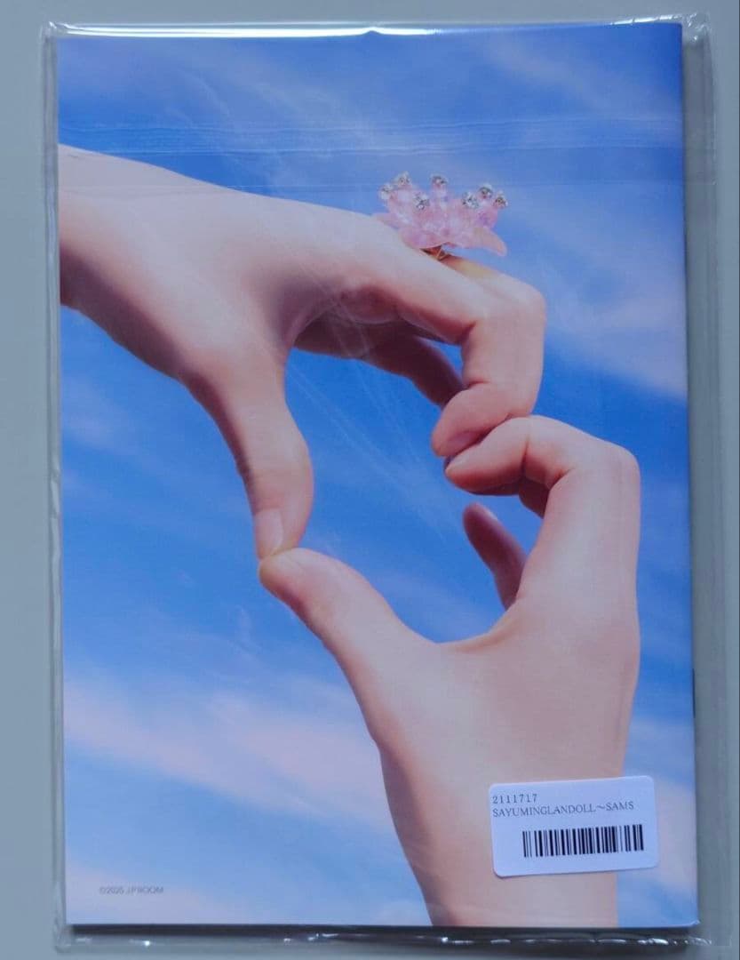 道重さゆみ ビジュアルブック LIVE TOUR 2025 ～SAMSALA～