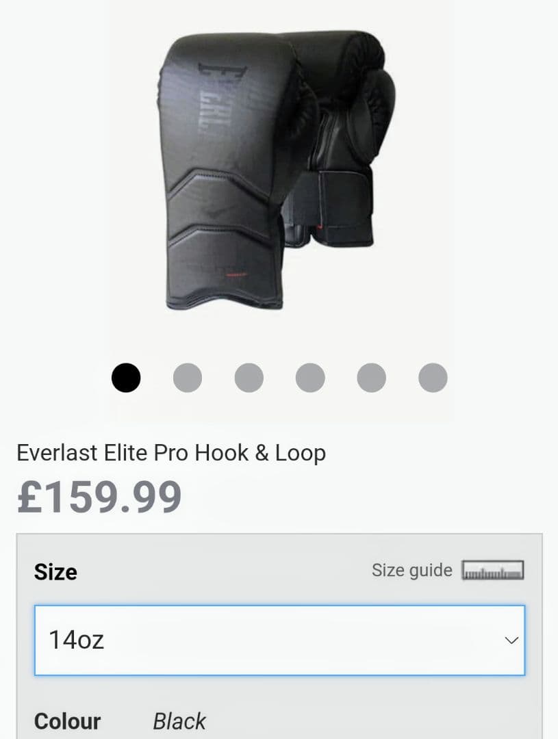 ＥＶＥＲＬＡＳＴ ＰＲＯ　14oz