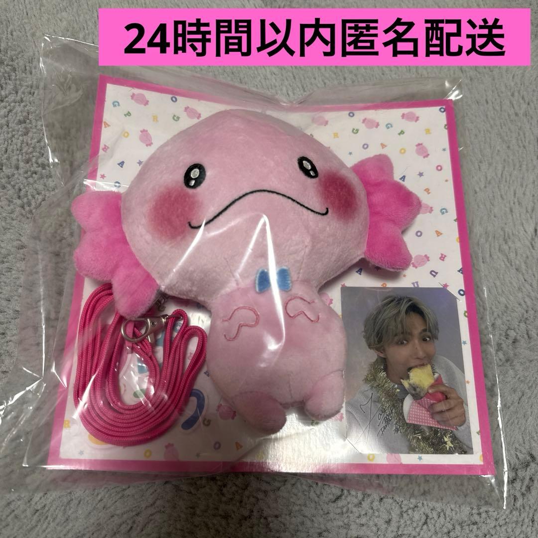 うぱごろう パスケース 佐藤大樹 FANTASTICS - メルカリ