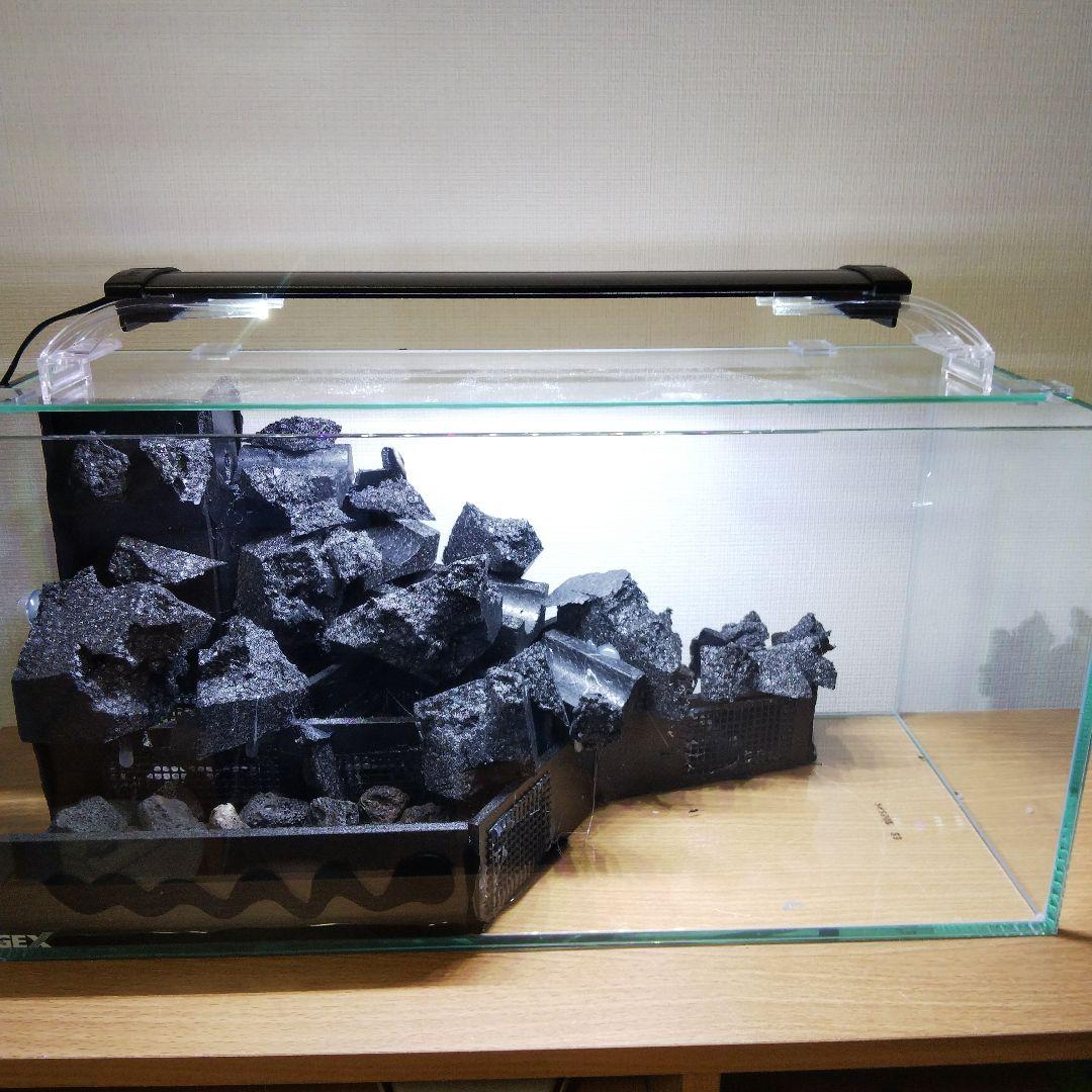 受注生産】滝の流れるアクアテラリウム イモリウム 苔 水槽 苔