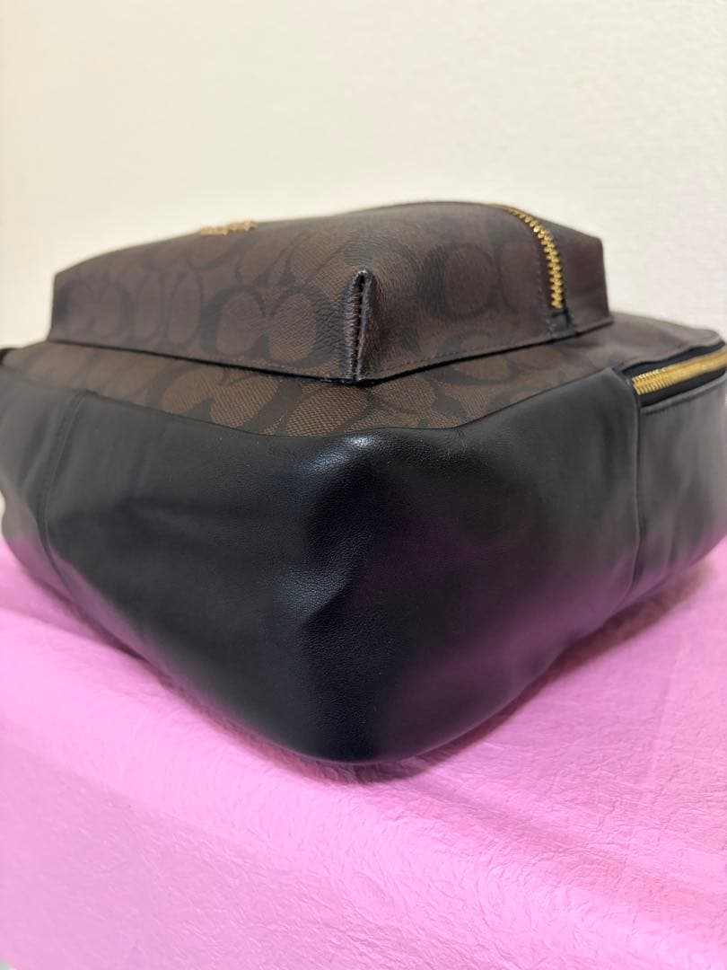 COACH コーチ F32200 シグネチャー リュック PVC