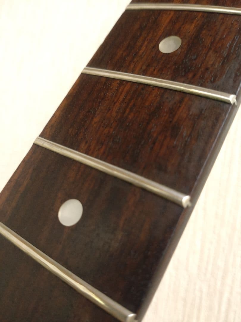 ZO-3 芸達者　生産終了　絶版　フェルナンデス　FERNANDES