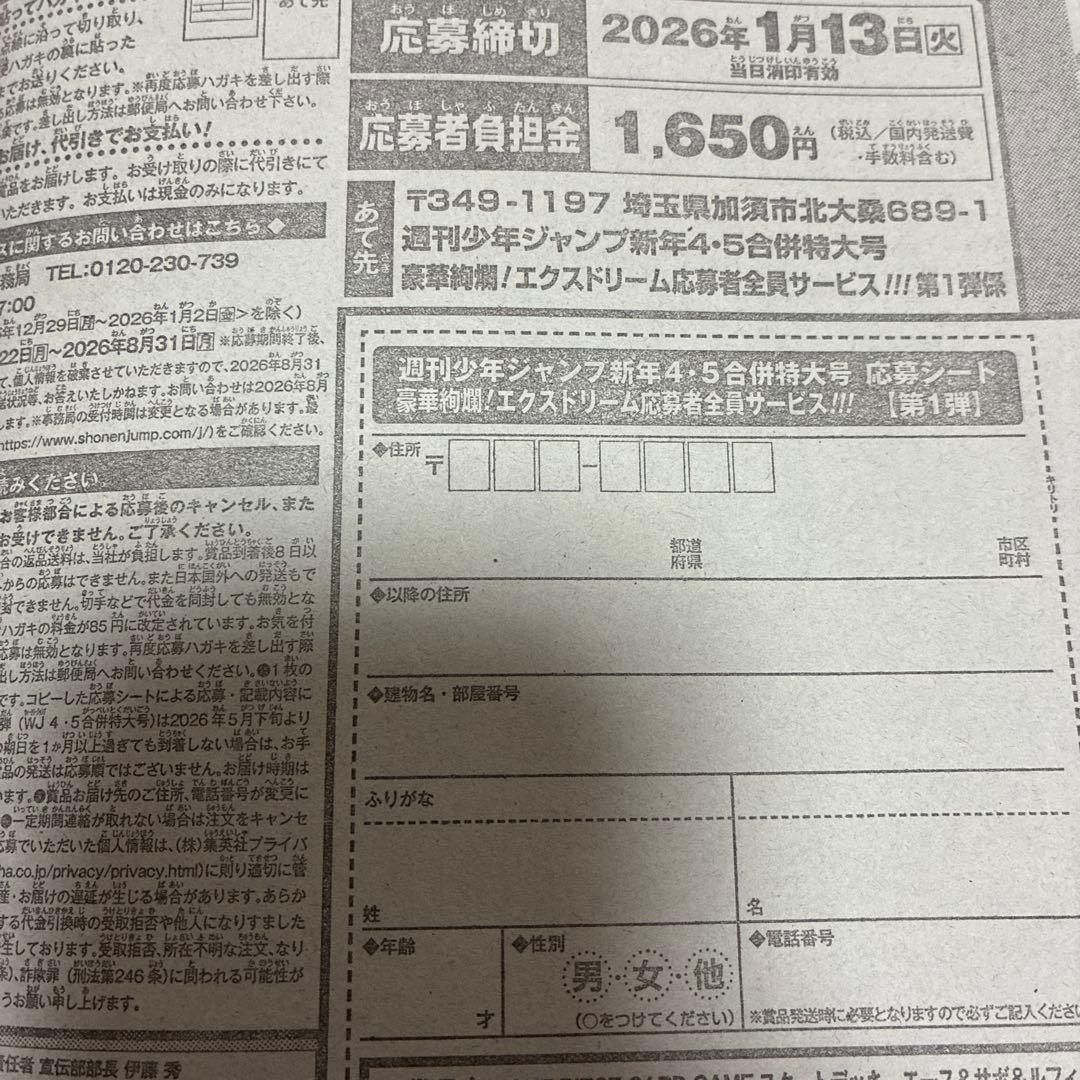 週刊少年ジャンプ 2026年4・5号 ONE PIECE 全サ 応募券12枚 - メルカリ