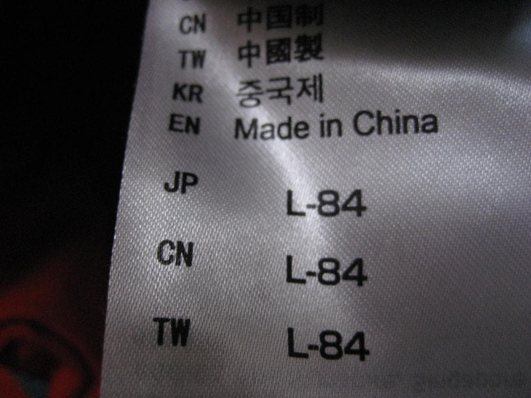 美品 ミズノ 高機能 デモウェア　上下Lサイズ セット ブレスサーモ