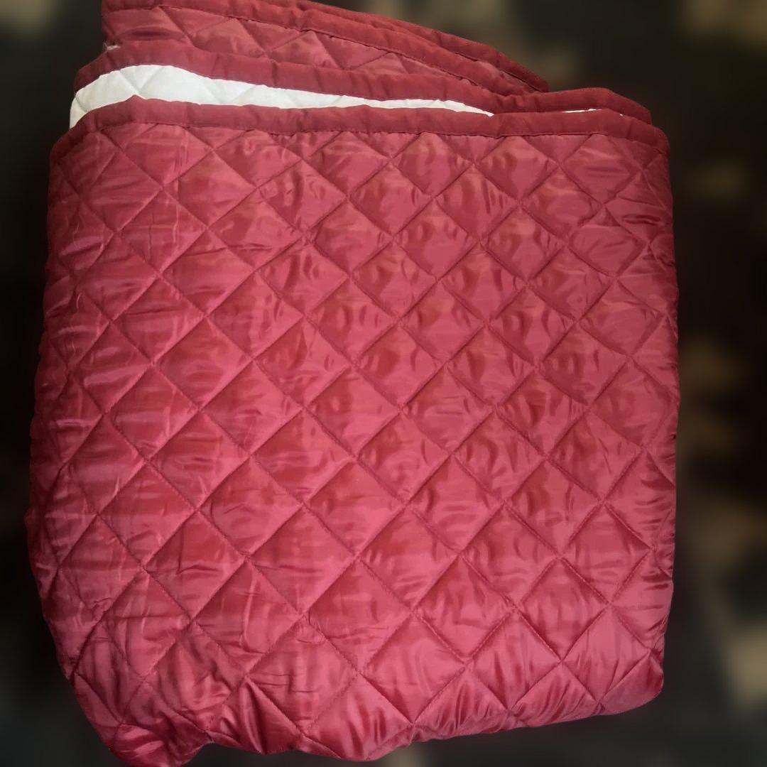 演奏会用上質17弦一式 メインテナンス済み