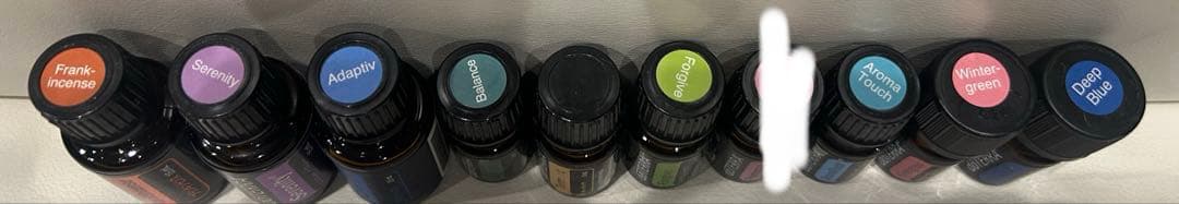 ドテラ　オイル　ディフューザー　木製ケース　他