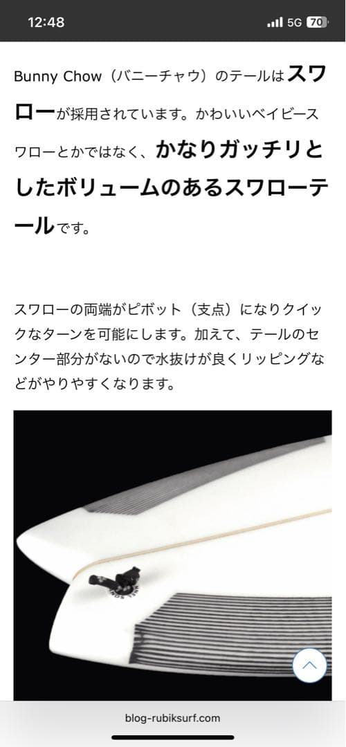 【送料込み】チャネルアイランズ アルメリック BUNNY CHOW 5'9