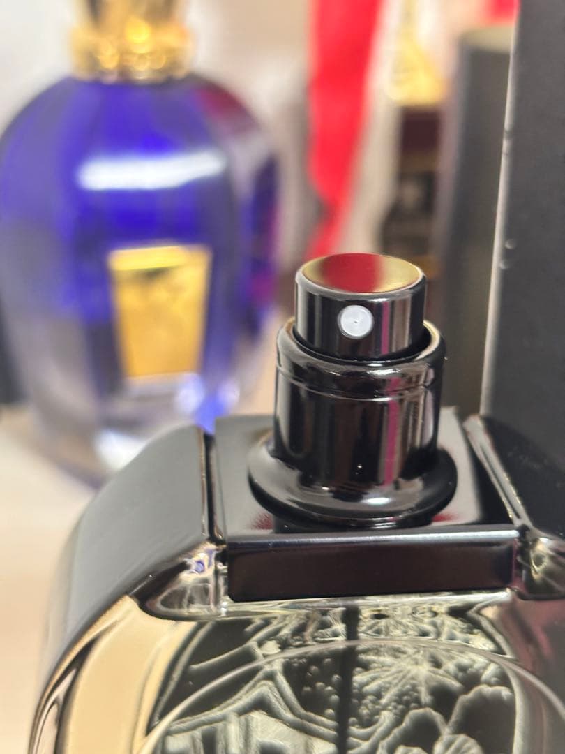 国内正規品✨diptyqueドソン75ml