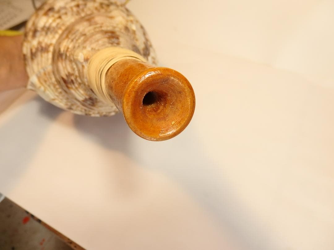 法螺貝 約41㎝ 木製歌口,新品　 MH-447